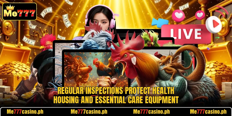 Regular inspections protect health housing and essential care equipment Regular inspections protect health housing and essential care equipment