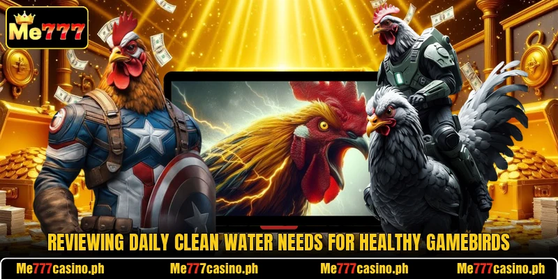 Reviewing daily clean water needs for healthy gamebirds Reviewing daily clean water needs for healthy gamebirds