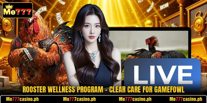 Rooster Wellness Program - Clear Care For Gamefowl Rooster Wellness Program - Clear Care For Gamefowl